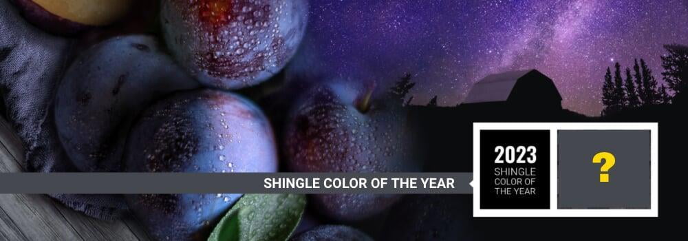 Shingle color of the year